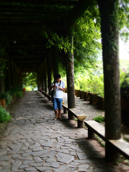 畢業(yè)之前去臺灣看看世界