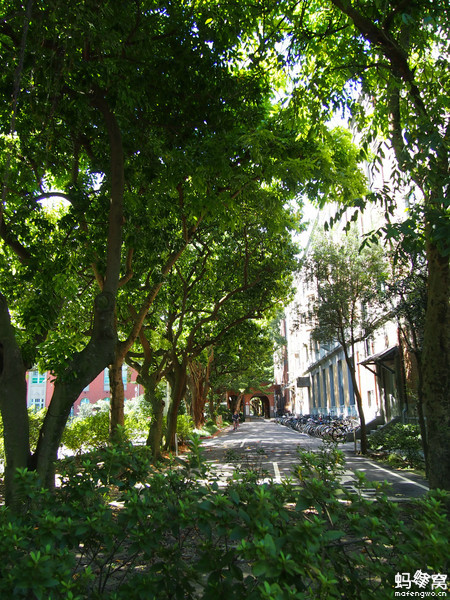 畢業(yè)之前去臺灣看看世界