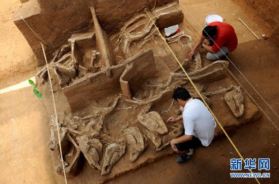 河南：南水北調沿線考古成果豐碩