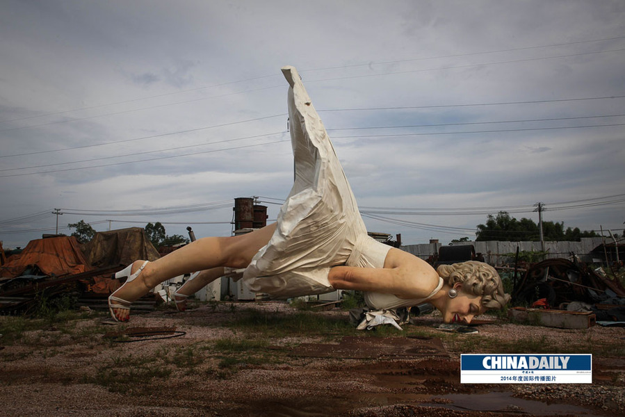 中國日?qǐng)?bào)2014年度國際傳播圖片精選