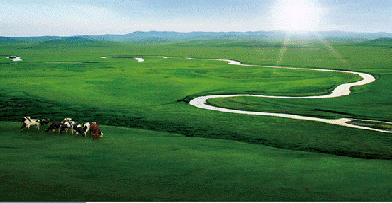 黑馬殺出?重磅消息:伊利即將進軍能量飲料市場