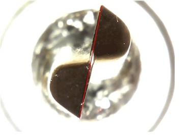 志冠閃電尾:打造最專業的鉆尾螺絲