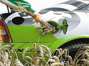 生物燃料究竟有多“綠”？