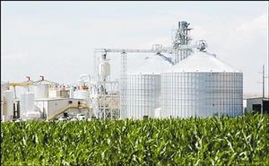 生物燃料究竟有多“綠”？