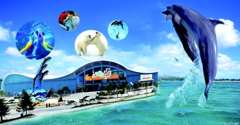 玩轉(zhuǎn)蛇年!盤點春節(jié)各大主題旅游線路(組圖)