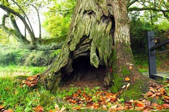 水印唐模:編織美夢的徽州古村(組圖)