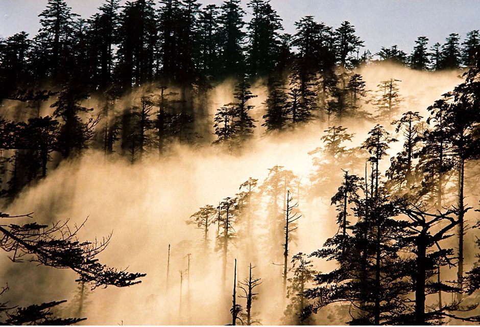 環(huán)游世界：拼假3天變7天 五一去異國(guó)踏青(圖)