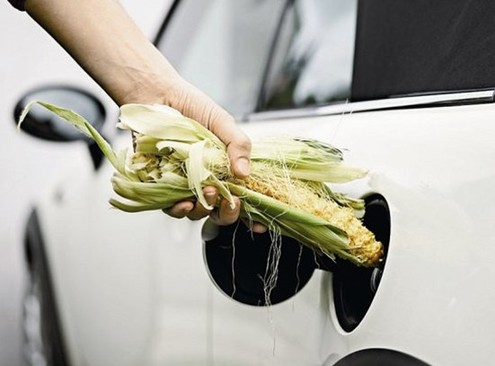 睿信致成觀察：我國生物燃料發展有待突破