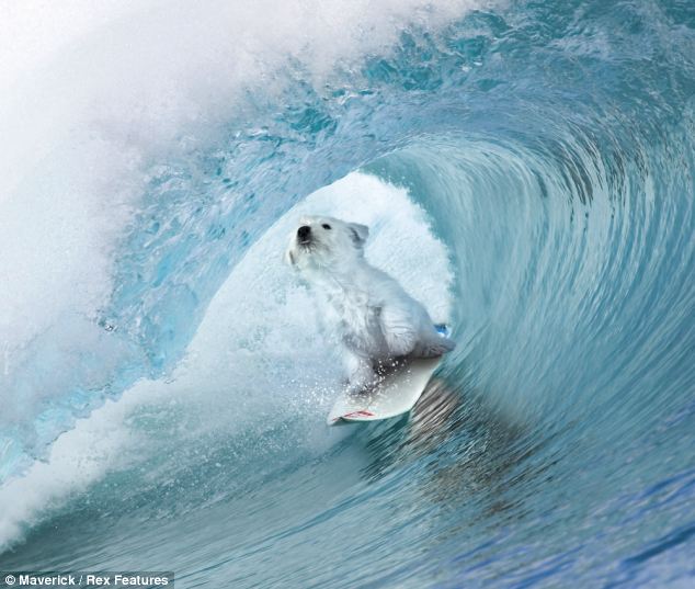 組圖:蘋果推“沖浪小狗”程序提振人心