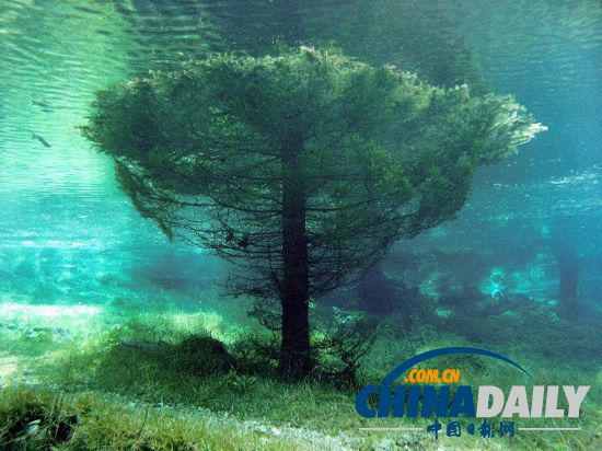 奧地利“水珍珠”:綠湖水下公園