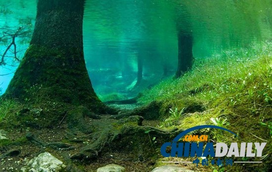 奧地利“水珍珠”:綠湖水下公園