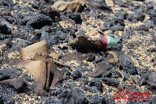 中儲糧黑龍江分公司回應林甸直屬庫火災三點疑問