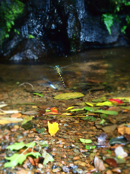 畢業(yè)之前去臺灣看看世界