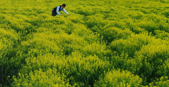 新疆生產(chǎn)建設(shè)兵團(tuán)成隴南勞務(wù)輸出基地