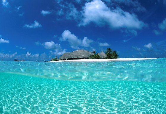 十大人氣免簽落地簽?zāi)康牡?亞洲占八成