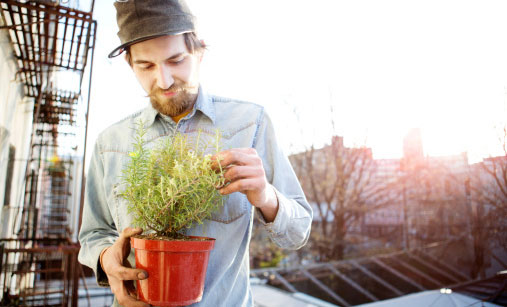 2025年的8大新工作