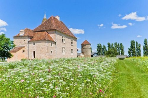 全球“最童話”古堡盤點