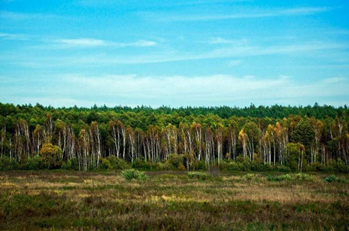 波蘭：飽受戰(zhàn)火的浪漫之都