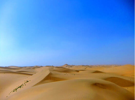 2014圣牧有機之旅•純凈啟程——見證「全程有機」純真奇跡