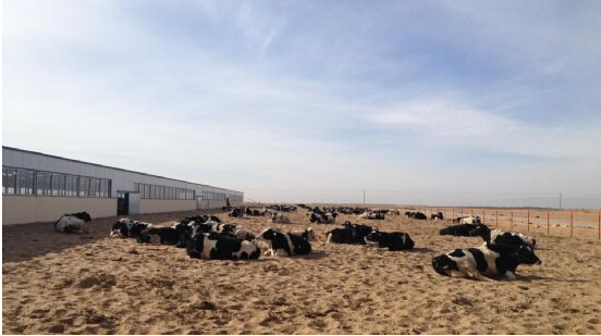 2014圣牧有機之旅•純凈啟程——見證「全程有機」純真奇跡