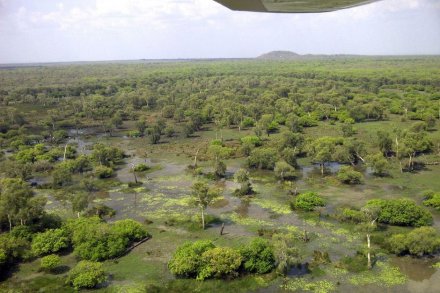 中國(guó)企業(yè)斥資千萬(wàn)澳元收購(gòu)澳洲養(yǎng)牛場(chǎng)