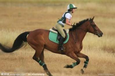 盤點那些最燒錢的土豪運動 你玩過幾個？