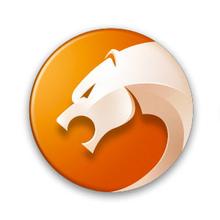 移動(dòng)互聯(lián)網(wǎng)時(shí)代霸氣側(cè)漏的瀏覽器