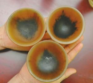 微信圈隱秘生意:女演員非法販賣犀牛角日賺32萬