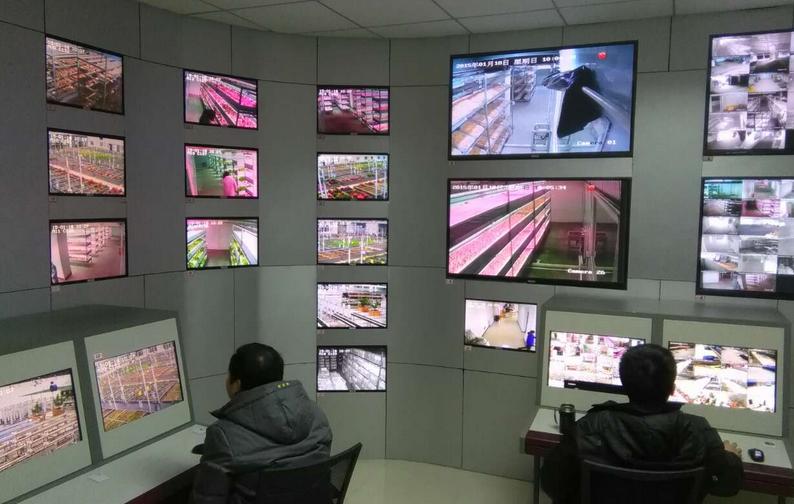 中國最大的植物工廠在北京建成投產(chǎn)