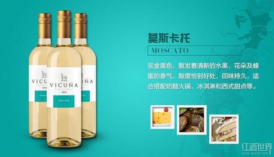 外媒：中國資金推動澳洲葡萄園大幅升值