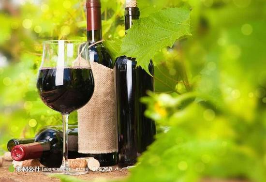 外媒：中國資金推動澳洲葡萄園大幅升值