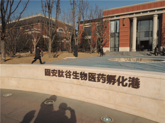 國(guó)際綠色經(jīng)濟(jì)協(xié)會(huì)赴廊坊考察交流