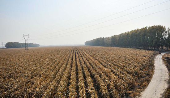 習近平的兩會時間： 東北振興怎么辦？
