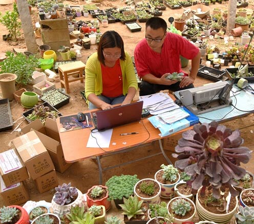 辦公室在花房 產(chǎn)品網(wǎng)上走俏 大學(xué)生夫妻回鄉(xiāng)創(chuàng)業(yè)成美談