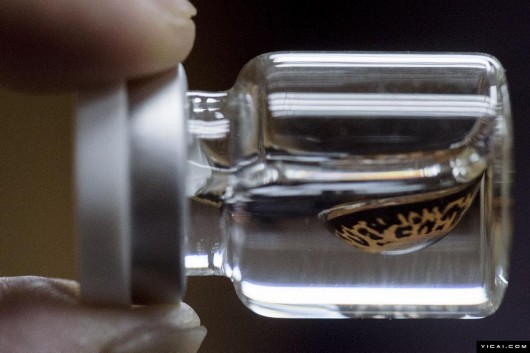 廣州25萬(wàn)瓶假美瞳銷海外 成本2元貼牌后賣99