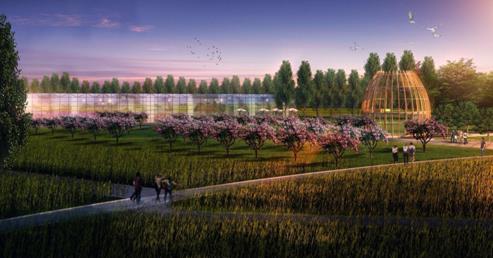 享受“玩美”假期 就在中糧智慧農場