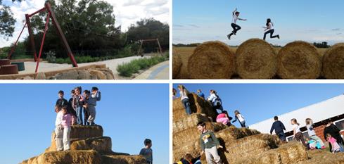 享受“玩美”假期 就在中糧智慧農場