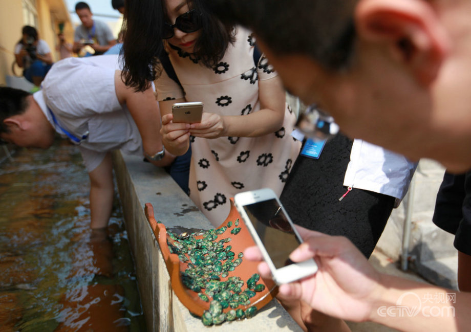 “海上糧倉”建設(shè)的“藍(lán)色之路”