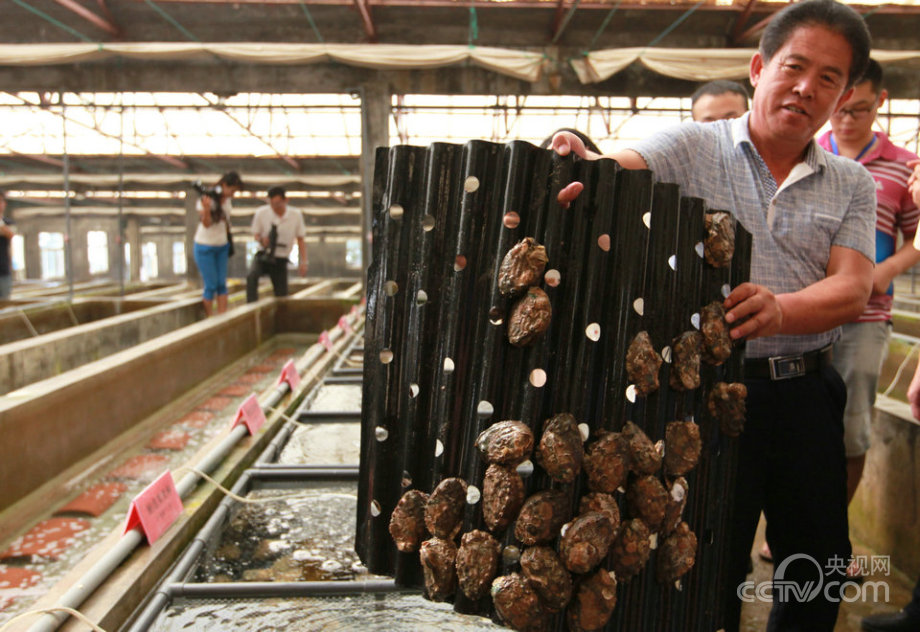 “海上糧倉”建設(shè)的“藍(lán)色之路”