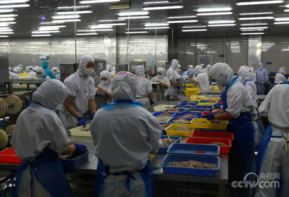 “海上糧倉”建設(shè)的“藍色之路”