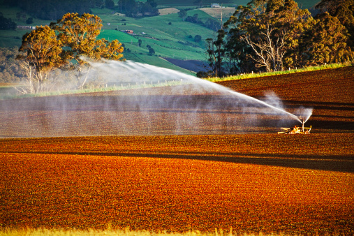 報告顯示:中國成為澳大利亞“農業領域”最大投資國
