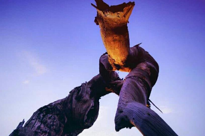 指數(shù)熔斷機(jī)制的前世今生:美國上世紀(jì)80年代誕生