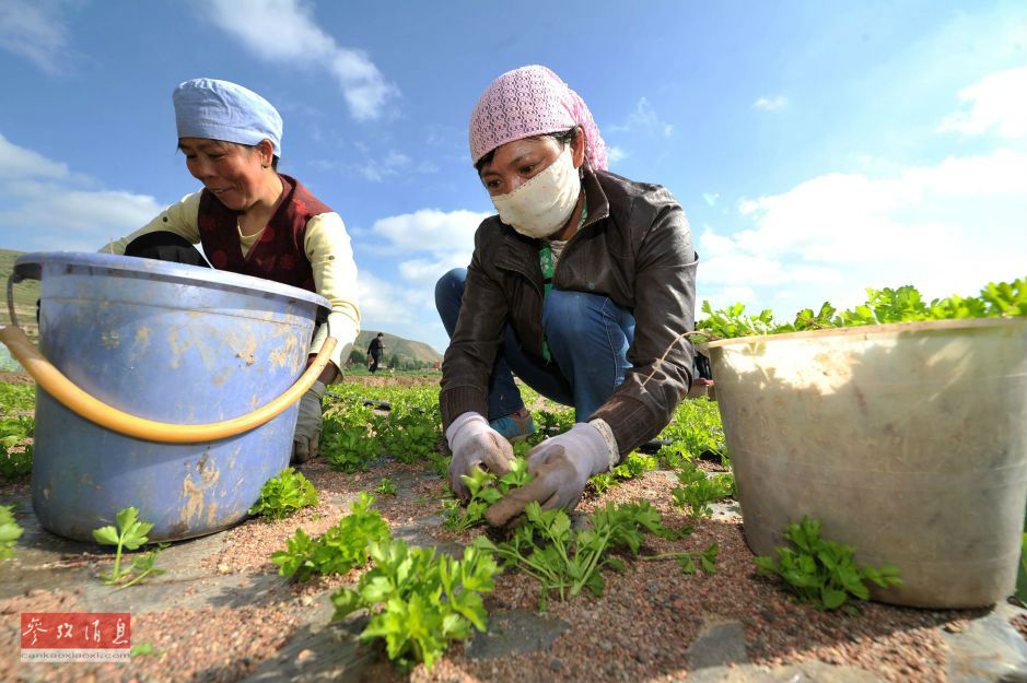 美媒：美國基金巨頭在華擴張 將為富人提供服務(wù)