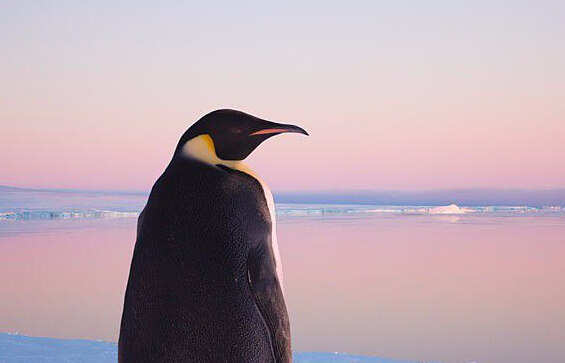 中國動畫電影工業的春天來了嗎?“是冬天快過去了”