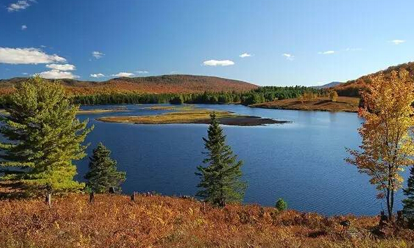 王健林、馬云等亞洲富豪2015年的購物車里都有什么？