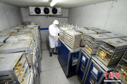 明年坐飛機需知這些新規:部分延誤旅客需自費食宿