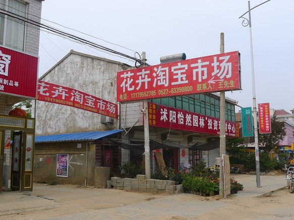 世界銀行點贊中國“淘寶村”：助農(nóng)民變成企業(yè)家 應(yīng)推廣至全球