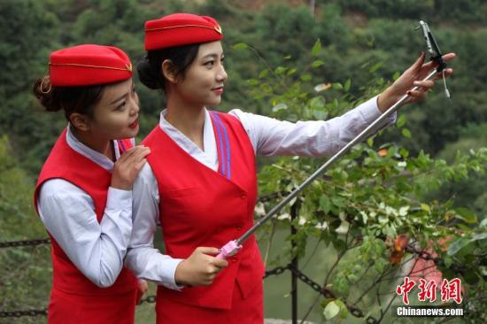 告別草莽時代 直播還是風(fēng)口上的那只豬嗎