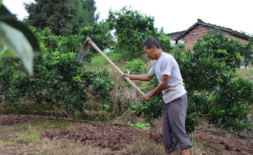脫貧攻堅決勝年 云陽多措并舉摘貧困縣“帽子”