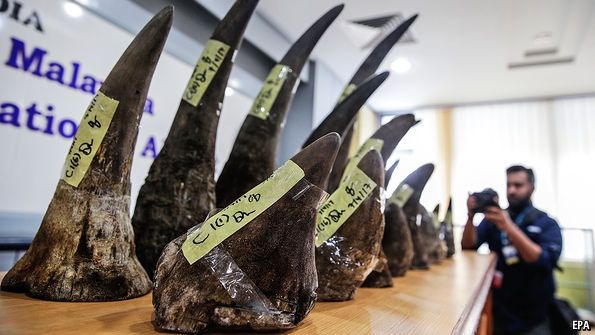 拯救犀牛：沒有買賣，就沒有殺害